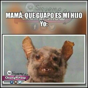 Meet your Posher, Rene