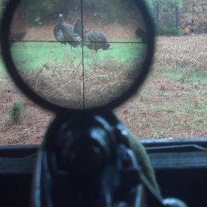 Meet your Posher, Josh