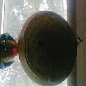 Meet your Posher, Diana