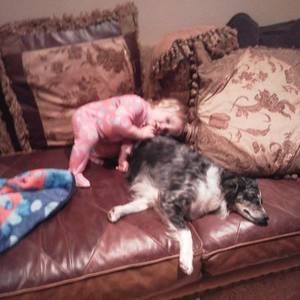 Meet your Posher, Rose