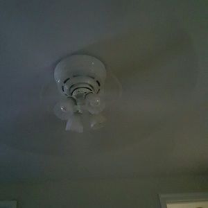 Meet your Posher, Latoya