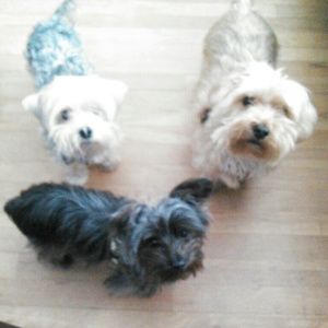 Meet your Posher, Jennifer