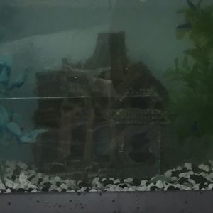 Decorative house for medium/large aquariums