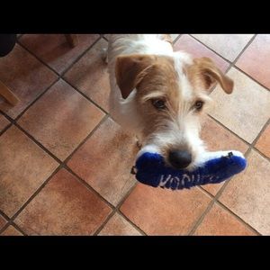 Meet your Posher, Mia