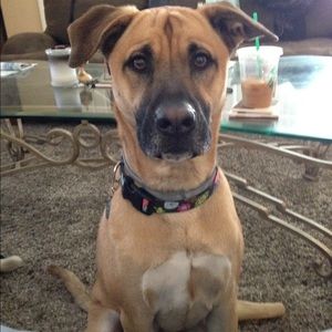 Meet your Posher, Megan