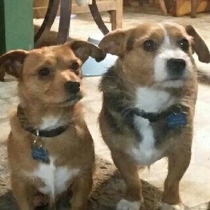 Meet your Posher, Meredith