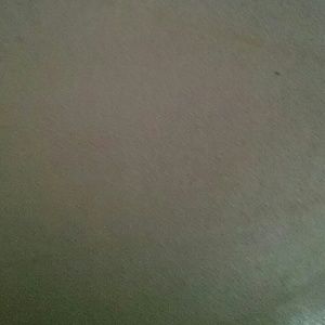 Meet your Posher, Bruce