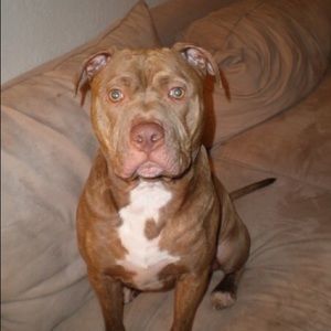 Meet your Posher, Emilee