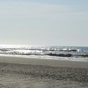 Meet your Posher, Victor