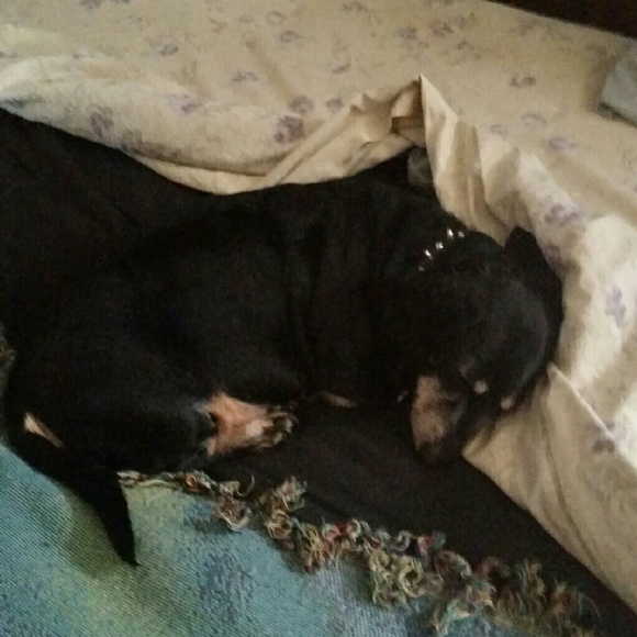 Meet your Posher, Corena - Picture 3 of 16