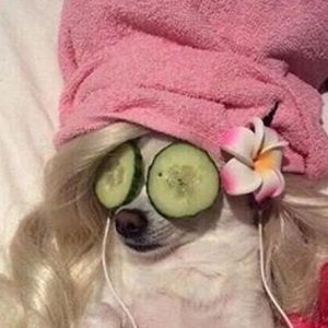 Meet your Posher, Samantha