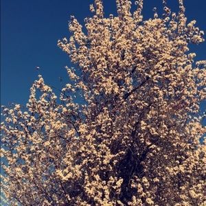 Meet your Posher, Annaka