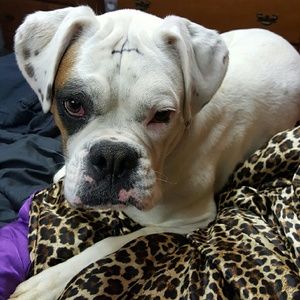 Meet your Posher, Bridgit