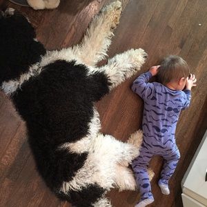 Meet your Posher, Anne