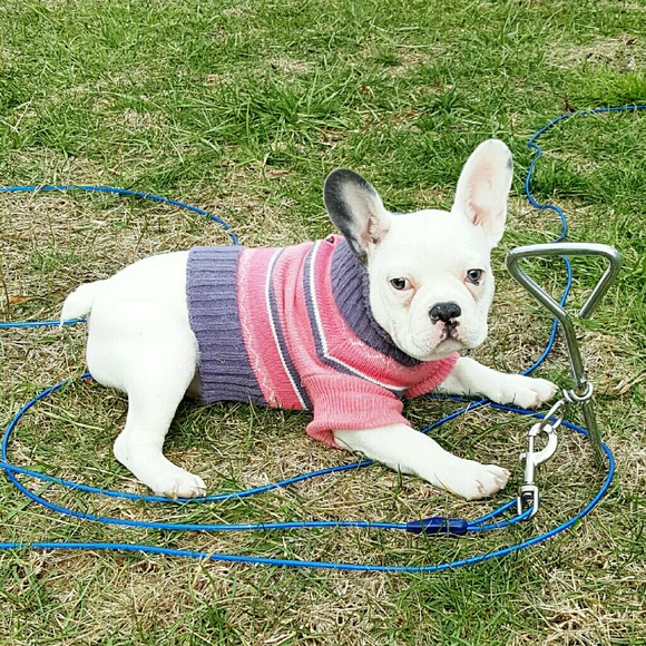 Meet your Posher, Stacie - Picture 4 of 4