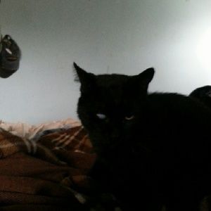 Meet your Posher, Debra