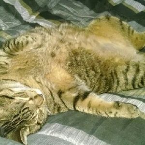 Meet your Posher, Jason