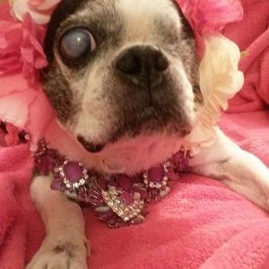 Meet your Posher, Cheryl