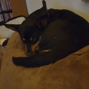 Meet your Posher, Rachel