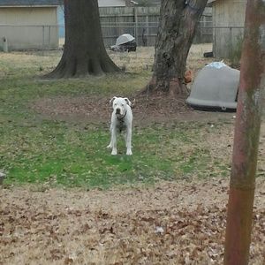 Meet your Posher, Candice