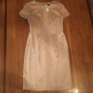 Ann Taylor gorgeous dress!!