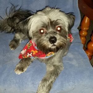 Meet your Posher, Annette