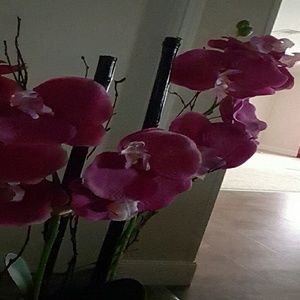 Meet your Posher, Adriana