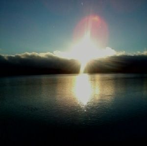 Meet your Fellow Posh Seller & Buyer!!!