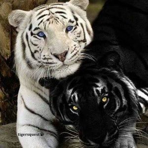 Meet your Posher, Judith