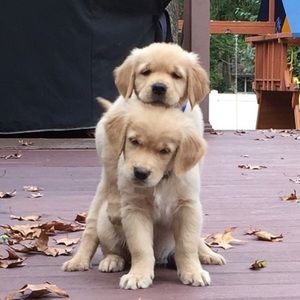 Meet your Posher, Marilyn