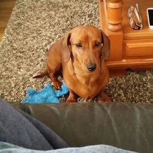 Meet your Posher, Falisha