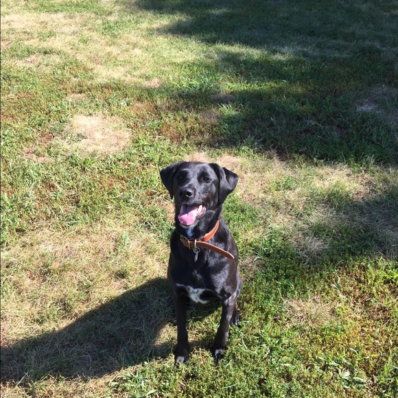 Meet your Posher, Julia - Picture 1 of 1