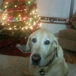 Meet your Posher, Cyndi