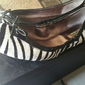 Zebra flats