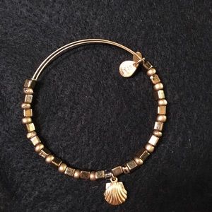 Alex and Ani bangle bracelet