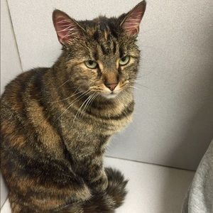 Meet your Posher, Katie