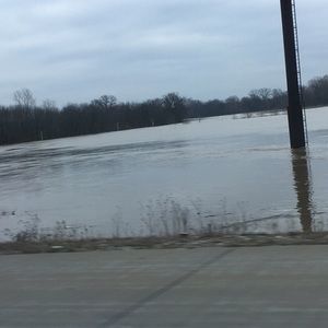 Meet your Posher, Raynah