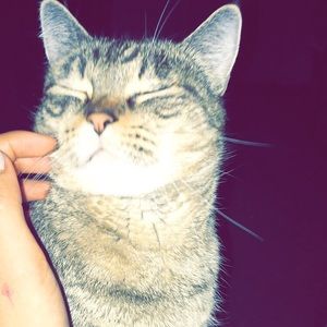 Meet your Posher, Sabrina