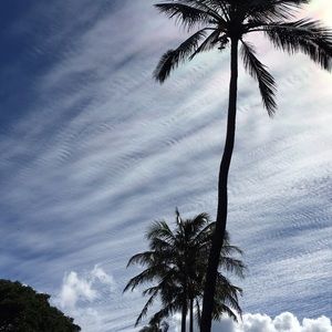 Meet your Posher, Melisa