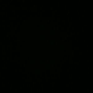 Meet your Posher, Gizelle