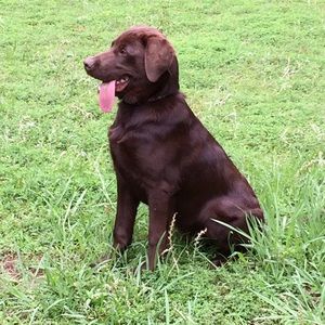 Meet your Posher, Jacob