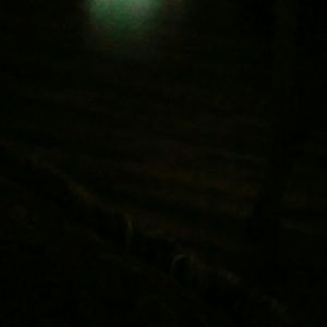 Meet your Posher, Phillip