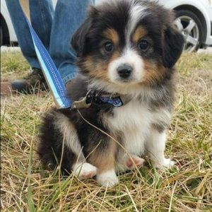 Meet your Posher, Karley