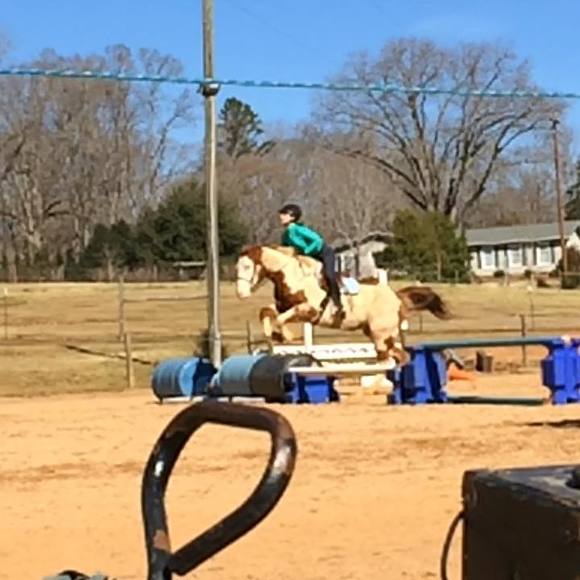 Meet your Posher, Hannah - Picture 1 of 1