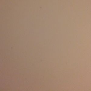 Meet your Posher, Anne