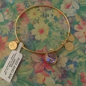 Alex and Ani June Bracelet BNWT