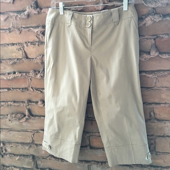 Loft Marisa Capri Pants