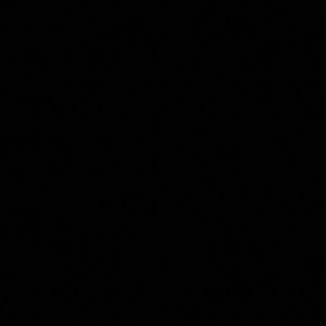 Meet your Posher, Bryan