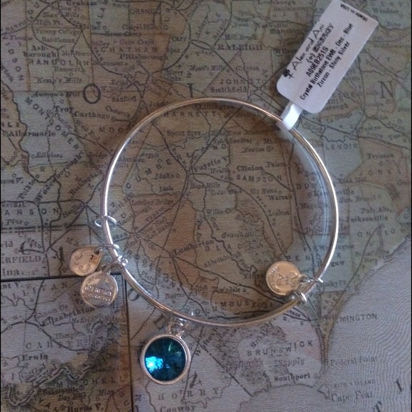 December Birthstone Alex and Ani bracelet