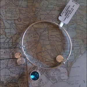 December Birthstone Alex and Ani bracelet